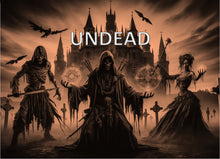 Load image into Gallery viewer, Heroes of Kaldora